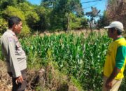 BHABINKAMTIBMAS POLSEK HU’U DORONG INOVASI PEMANFAATAN LAHAN PEKARANGAN UNTUK DUKUNG KETAHANAN PANGAN NASIONAL