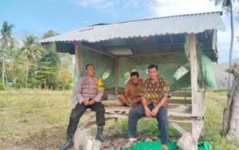 Dukung Ketahanan Pangan, Bhabinkamtibmas Desa Mumbu Dampingi Petani Siapkan Lahan Bawang Merah