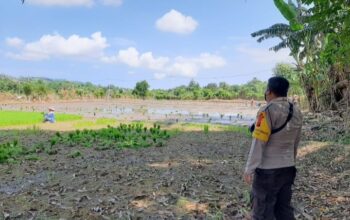 Tinjau Lahan Petani di Desa Moyo, Bhabinkamtibmas Gali Kendala Pertanian Demi Sukseskan Ketahanan Pangan