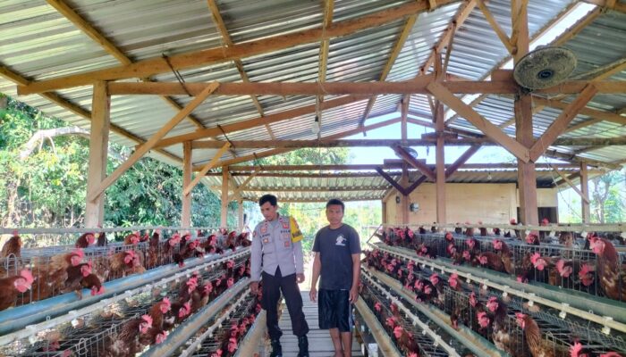 Dukung Program Ketahanan Pangan Bhabinkamtibmas Desa Sakra Selatan Monitoring