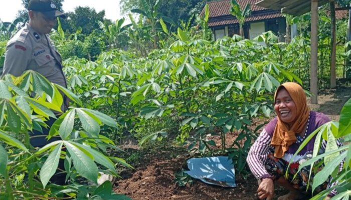 Kunci Sukses Polsek Labuapi Dorong Ketahanan Pangan Lewat Pekarangan Produktif