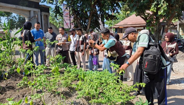 Bhabinkamtibmas Desa Sukadana Bersama Pemdes dan Mahasiswa KKN Universitas Muhammadiyah Mataram Praktikkan Penyemprotan Pestisida Organik