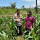Bhabinkamtibmas Desa Bagik Papan Cek Tanaman Jagung Warga, Dukung Ketahanan Pangan dan Sampaikan Imbauan Kamtibmas