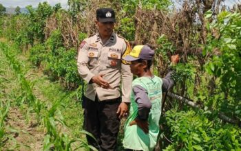 Optimalkan Pekarangan Rumah, Polsek Labuapi Pendampingan Petani Lokal dan Warga Binaan