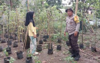 Sinergi Polsek Labuapi dan Petani Lombok Barat Perkuat Ketahanan Pangan Nasional