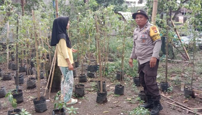Sinergi Polsek Labuapi dan Petani Lombok Barat Perkuat Ketahanan Pangan Nasional