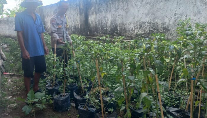 Bhabinkamtibmas Desa Suwangi Timur Sambangi Warga Dusun Turun Tangis, Ajak Masyarakat Bersama Jaga Kamtibmas
