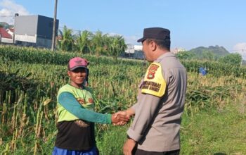 Dukung Ketahanan Pangan, Polsek Labuapi Turun Tangan Dampingi Petani di Desa Karang Bongkot