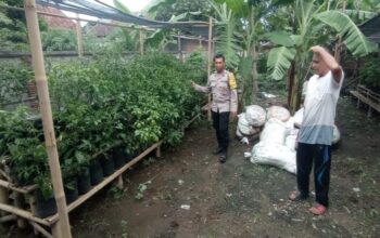 Solusi Keterbatasan Lahan, Bhabinkamtibmas Gerung Edukasi Warga Tanam Sayur Menggunakan Polybag
