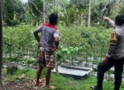 Bhabinkamtibmas Desa Kumbang Monitoring Ketahanan Pangan dan Ajak Masyarakat Jaga Kamtibmas