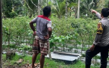 Bhabinkamtibmas Desa Kumbang Monitoring Ketahanan Pangan dan Ajak Masyarakat Jaga Kamtibmas