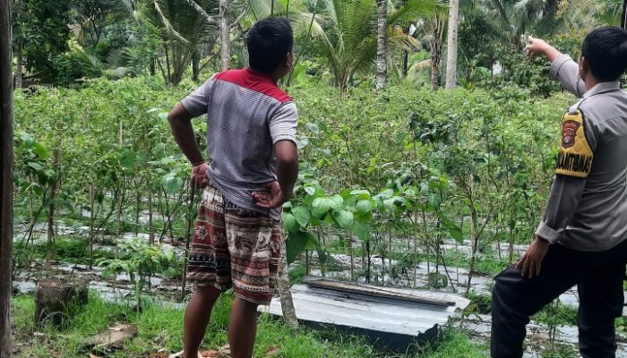 Bhabinkamtibmas Desa Kumbang Monitoring Ketahanan Pangan dan Ajak Masyarakat Jaga Kamtibmas