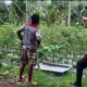 Bhabinkamtibmas Desa Kumbang Monitoring Ketahanan Pangan dan Ajak Masyarakat Jaga Kamtibmas