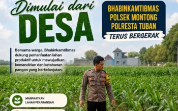 Polsek Montong Polresta Tuban Turun Cek Tanaman jagung Warga di Desa Pakel