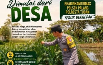 Dukung Astacita, Polsek Palang Polresta Tuban Pantau Langsung Lahan Jagung milik warga Desa Dawung