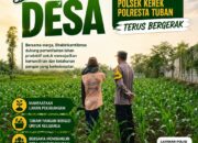 Bhabinkamtibmas pantau perkembangan tanaman jagung di Desa Binaan, dukung Ketahanan Pangan.
