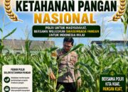 Polri Dukung Astacita, Polsek Grabagan Polresta Tuban Turun Cek Tanaman jagung milik Warga di Desa Grabagan