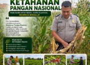 Polsek Montong Polresta Tuban Turun Cek Tanaman jagung Warga di Desa Ngulahan