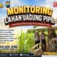 Polisi Polsek jenu Polres Tuban Turun ke Ladang, Dampingi Petani Jagung Dukung Ketahanan Pangan