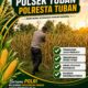 POLSEK TUBAN DUKUNG KETAHANAN PANGAN NASIONAL MELALUI PENGECEKAN TANAMAN JAGUNG