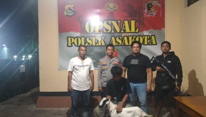 Respons Cepat Polsek Asakota Ungkap Pencurian Dua Ekor Kambing, Satu Pelaku Dibekuk