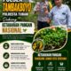 Polsek Tambakboyo Polres Tuban Turun Cek Tanaman jagung Warga di Desa Ngulahan