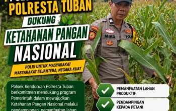 Polisi RW Polsek Kenduruan Polresta Tuban Cek Lahan Jagung Warga, Wujud Nyata Dukung Ketahanan Pangan Nasional