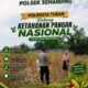 Polri Dukung Astacita, Polsek Semanding Polresta Tuban Turun Cek Tanaman jagung milik Warga di Desa Kowang