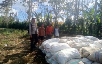 Bhabinkamtibmas Desa Rarak Ronges Dampingi Panen Jagung Tahap III, Pastikan Hasil Petani Terserap Pasar