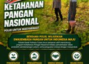 DUKUNG KETAHAN PANGAN NASIONAL, ANGGOTA POLSEK KEREK SAMBANG KE LADANG JAGUNG WARGA DESA BINAAN