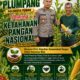 Polsek Plumpang Polresta Tuban Turun Langsung Cek Tanaman Jagung Warga