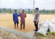 Polresta Tuban, Polsek Tambakboyo – Dukung Ketahanan Pangan, Personel Polsek Tambakboyo Patroli Dialogis ke Lahan Jemur Jagung Milik Warga