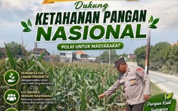 Polri Dukung Astacita, Polsek Rengel Polres Tuban Turun Cek Tanaman Jagung Warga di Desa Rengel
