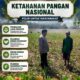 Bhabinkamtibmas pantau pertumbuhan jagung di Desa Binaan, dukung Ketahanan Pangan.