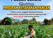 Polisi RW Polsek Senori Polresta Tuban Monitoring Tanaman Jagung Milik Warga Desa Medalem Guna Mendukung Program Ketahanan Pangan