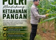 Dukung Astacita, Polsek Palang Polresta Tuban Pantau Langsung Lahan Jagung milik warga Desa Ketambul