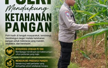 Dukung Astacita, Polsek Palang Polresta Tuban Pantau Langsung Lahan Jagung milik warga Desa Ketambul