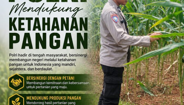 Dukung Astacita, Polsek Palang Polresta Tuban Pantau Langsung Lahan Jagung milik warga Desa Ketambul