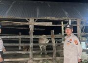 Tekan Potensi Kriminalitas Dini Hari, Polsek Sekotong Sambangi Pemukiman Warga Dusun Bertong
