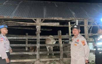 Gelar Patroli KRYD Dini Hari, Polsek Sekotong Sasar Area Kandang Ternak Warga di Cendi Manik