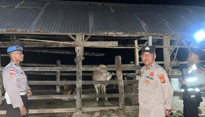 Gelar Patroli KRYD Dini Hari, Polsek Sekotong Sasar Area Kandang Ternak Warga di Cendi Manik