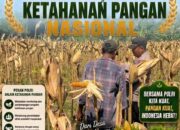 Perkuat Ketahanan Pangan Nasional, Aipda Mariyono Bersama Warga Ngujuran Panen Jagung Raya