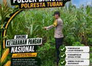 POLSEK BANGILAN DUKUNG KETAHANAN PANGAN NASIONAL