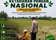 Polri Dukung Astacita, Polsek Merakurak Polres Tuban Turun Cek Tanaman Jagung Warga di Desa Tuwiri Kulon