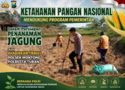 Polsek Montong Polresta Tuban Turun Cek Tanaman jagung Warga di Desa Pakel