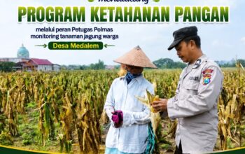 Mendukung Program Ketahanan Pangan Nasional Anggota Polmas Polsek Senori Polresta Tuban Memantau Tanaman Jagung Milik Warga Desa Medalem