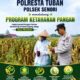 Mendukung Program Ketahanan Pangan Nasional Anggota Polmas Polsek Senori Polresta Tuban Memantau Tanaman Jagung Milik Warga Desa Medalem
