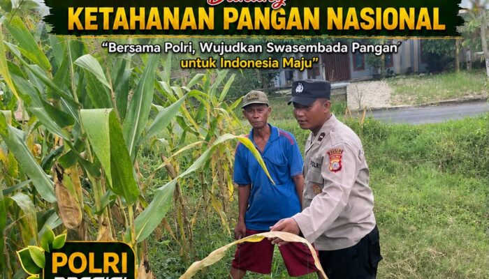 POLSEK BANGILAN DUKUNG KETAHANAN PANGAN