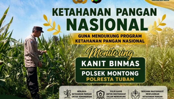Polsek Montong Polresta Tuban Turun Cek Tanaman jagung Warga di Desa Ngulahan