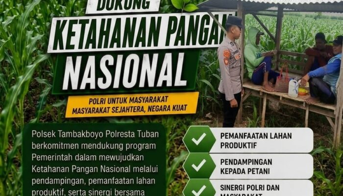 Polsek Tambakboyo Polres Tuban Turun Cek Tanaman jagung Warga di Desa Ngulahan